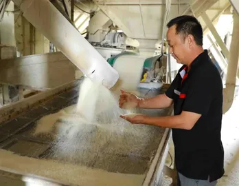 Vietnamese wheat flour products pass export examination for Taiwanese market