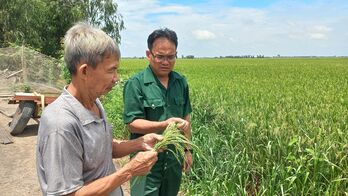 Giúp nhau giảm nghèo, làm kinh tế giỏi