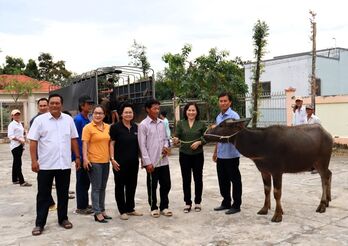 Long Hựu Tây - Tạo điều kiện cho người nghèo vươn lên