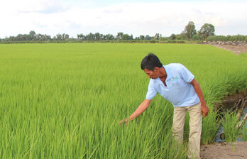 Improve quality and value of crops and livestock