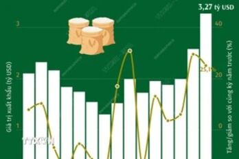 7 tháng năm 2024, xuất khẩu gạo tăng hơn 25%