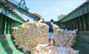 Vietnam, Thailand vie for larger rice market share in Philippines