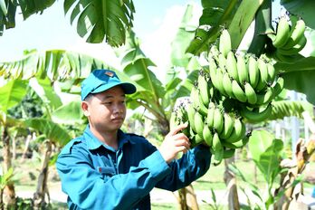 Sắc xanh trên chốt dân quân thường trực biên giới