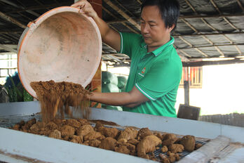 Anh kỹ sư cơ khí về quê trồng nấm