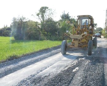 Tân Trụ: Tăng cường quản lý hiệu quả đất đai, hướng đến phát triển bền vững