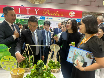 Long An province and Ho Chi Minh city promote trade cooperation