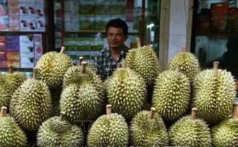 Thai durian dominates Chinese market