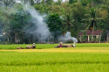 Chớm thu...