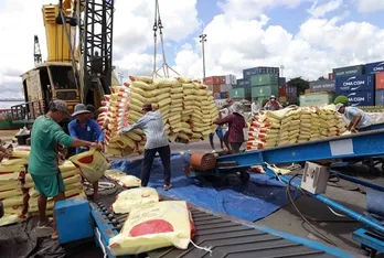 Opportunity for Vietnam as Indonesia increases rice tender volumes