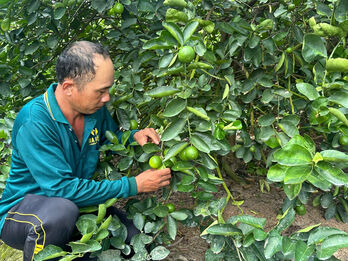 Quỹ hỗ trợ nông dân - Tiếp vốn cho nhà nông ứng dụng công nghệ cao vào sản xuất