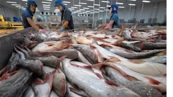 Vietnam becomes second largest supplier of white fish to US