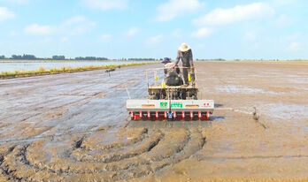 Effectiveness of high-tech rice production pilot model