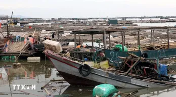 Quảng Ninh: Xem xét hỗ trợ tín dụng cho khách hàng bị thiệt hại do bão số 3