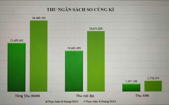 Long An thu ngân sách nhà nước trong 8 tháng đạt 18.450 tỉ đồng