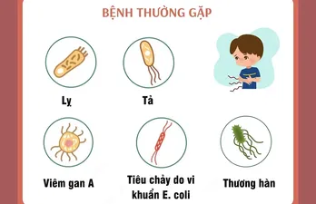 Các bệnh lây truyền qua đường tiêu hóa thường mắc sau bão lụt và mưa lũ