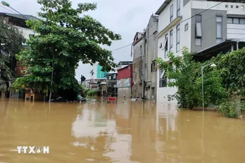 Vietnam calls for int’l cooperation in response to climate change