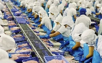 More pangasius exporters exempted from US anti-dumping tax