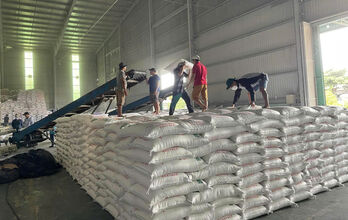 Rice exporting enterprises seek new directions