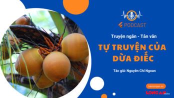 Tự truyện của Dừa Điếc