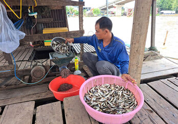 Nhộn nhịp chợ cá vùng biên