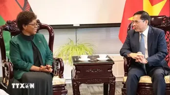 Vietnam officially establishes diplomatic relations with Malawi