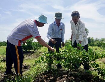 Hỗ trợ vốn cho nông dân phát triển sản xuất