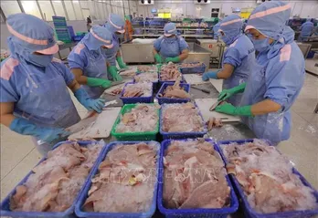 Vietnam earns over 7 billion USD from fishery exports in nine months