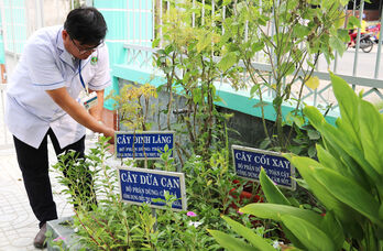 TP.Tân An: Phát huy hiệu quả vườn thuốc Nam tại các trạm y tế