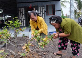 Điều mẹ chưa kể...