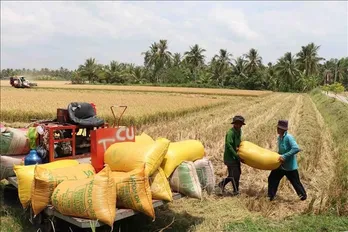 Vietnam celebrates 44th World Food Day in Hanoi