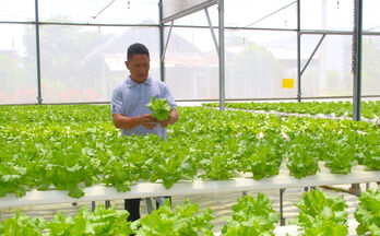 Attracting investment in developing high-tech agriculture