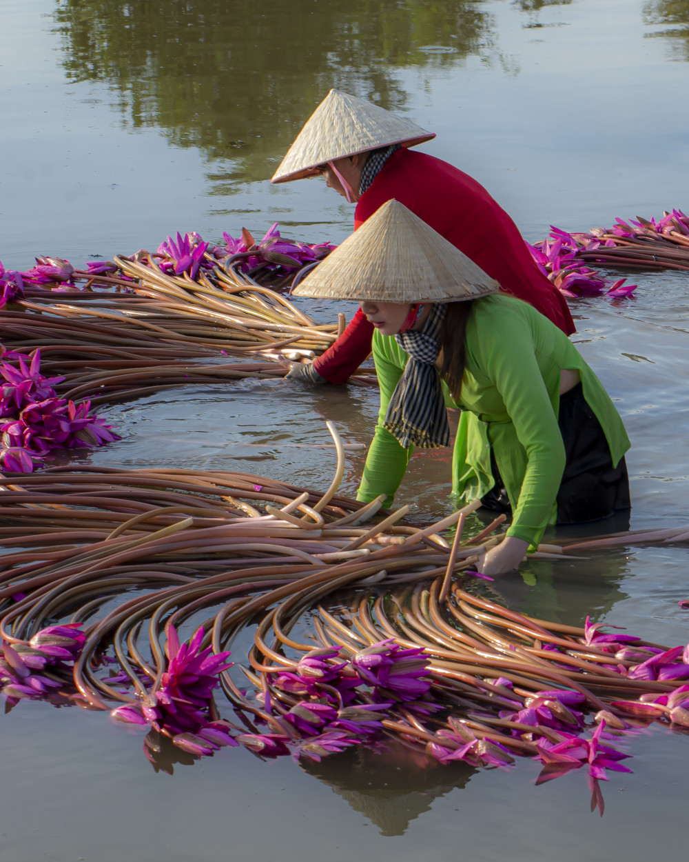 Ảnh: Hữu Vinh