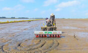 High-tech application on rice - premise for 1 million hectares of high-quality rice project