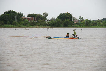 Nông dân ra đồng đánh bắt cá mùa lũ