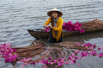 Góc ảnh 'Long An quê hương tôi': Bông súng