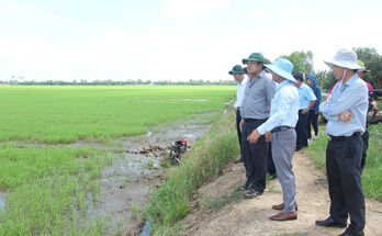 Long An khẩn trương khắc phục hậu quả ngập úng tại khu vực Đồng Tháp Mười