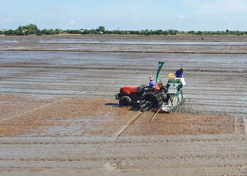 Producing high quality, low emissions rice