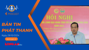 Bản tin phát thanh ngày 29/10/2024