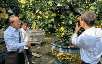 Long An - Hưng Yên: Ký kết chương trình hợp tác phát triển nông nghiệp, nông thôn