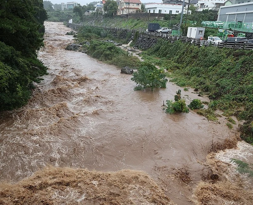 Một dòng suối ở Jeju nước dâng cao do mưa lớn ngày 1/11. (ẢNh: Yonhap)