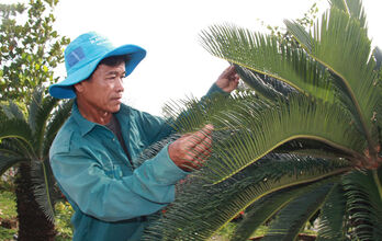 Nông dân sản xuất, kinh doanh giỏi