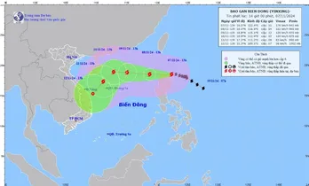 Bão Yinxing có thể đi vào Biển Đông từ chiều 08/11, gió giật cấp 17