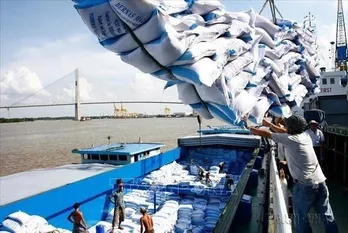 Philippines’ rice imports surpass 2023 level