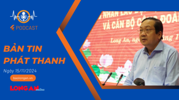 Bản tin phát thanh ngày 15/11/2024