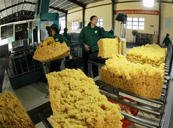 Vietnam’s rubber exports to Malaysia grow by triple digits