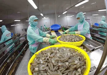 Shrimp exports surge in 10 months, generating 3.2 billion USD