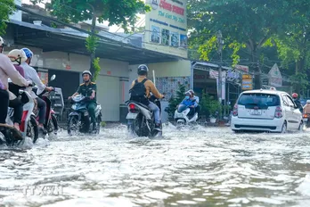 Đồng bằng sông Cửu Long: Nhiều tỉnh, thành phố nguy cơ bị ngập do triều cường