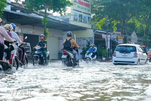 Đồng bằng sông Cửu Long: Nhiều tỉnh, thành phố nguy cơ bị ngập do triều cường