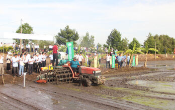 Long An launches 1 million hectares of high-quality, low-emission rice project