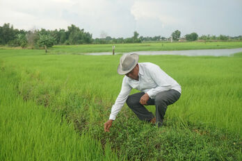 Nông dân trong thời đại số